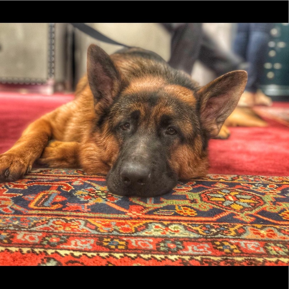 Meet your Posher, Carrie